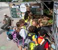 Boerderij Op Stelten voor 300 Peltse kinderen