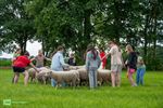 Boerderij Op Stelten voor 300 Peltse kinderen