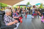 Tien jaar Hoevezavel feestelijk gevierd