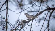 Bewoners en ex-bewoners van de Blekerheide