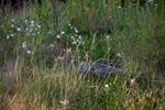 Bewoners en ex-bewoners van de Blekerheide