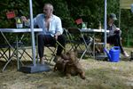 Hondenbar zomercafé