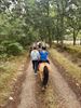 Driedaags Kids Ponykamp bij Club De Vlindervallei