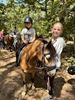 Driedaags Kids Ponykamp bij Club De Vlindervallei