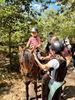 Driedaags Kids Ponykamp bij Club De Vlindervallei