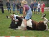 Een paard  op bezoek in de school!