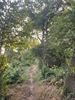Wandelen in Paal