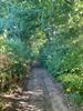 Wandelen in Paal