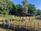 Wandelen in Paal