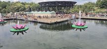 Willy bezoekt Tomorrowland als VIP
