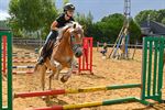 2 dagen vol paardenplezier bij De Vlindervallei