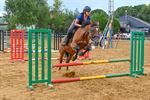 2 dagen vol paardenplezier bij De Vlindervallei