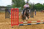 2 dagen vol paardenplezier bij De Vlindervallei