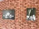 Fotoexpo in Galerij Ocura
