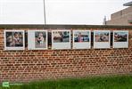 Een foto van een Hechtel-Ekselse in Pelt