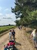 Driedaags ponykamp bij Club De Vlindervallei