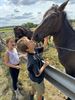 Driedaags ponykamp bij Club De Vlindervallei