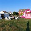 Zonnig buurtfeest in Meester Saklaan