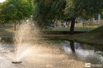 Zomerlezen in het park, zien lezen doet lezen