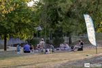 Zomerlezen in het park, zien lezen doet lezen