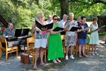 Onze-Lieve-Vrouw Hemelvaart gevierd met processie
