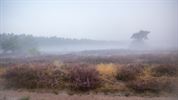 De zon komt op boven de Heuvelse Heide