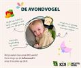 Welke speelvogel ben jij?