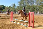 Paardenplezier op springkamp De Vlindervallei