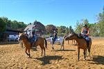 Paardenplezier op springkamp De Vlindervallei