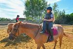 Paardenplezier op springkamp De Vlindervallei
