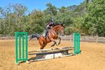Paardenplezier op springkamp De Vlindervallei