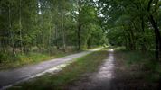 Het Hageven: elke maand anders (augustus '25)