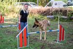 Zonnige start Dag van de hond