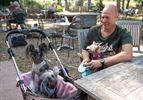 Zonnige start Dag van de hond