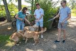 Zonnige start Dag van de hond
