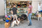 Zonnige start Dag van de hond