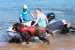 Geslaagde Rescue Mania aan de Paalse Plas