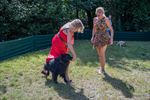 Succesvolle Dag van de Hond