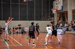 Miners Beringen verliezen openingswedstrijd
