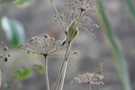 Herfsttafereel in het Hageven
