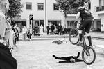 Velofest 2025: hét fietsfeest in Lommel!