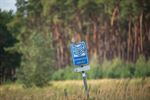 Schaapjes op de Blekerheide