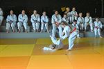 60 jaar Judoteam Agglorex in Lommel