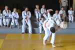 60 jaar Judoteam Agglorex in Lommel