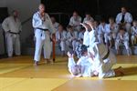 60 jaar Judoteam Agglorex in Lommel