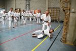 Karateka's voor Fighters Against Cancer