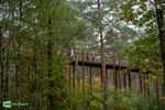 Loop & Wandel Door de Bomen lokt 1.400 deelnemers