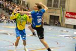 Europees handbal doet De Damburg daveren