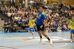 Europees handbal doet De Damburg daveren