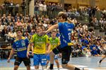 Europees handbal doet De Damburg daveren